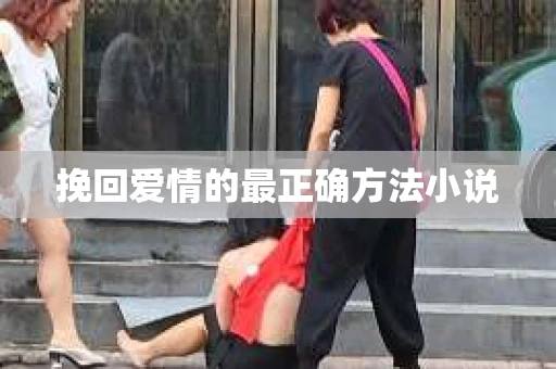 挽回爱情的最正确方法小说