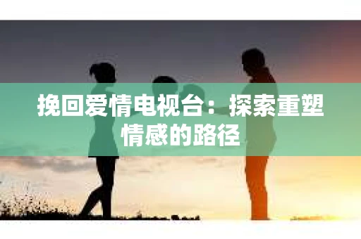挽回爱情电视台：探索重塑情感的路径
