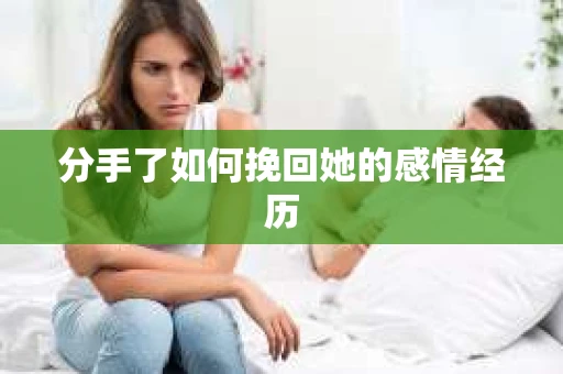 分手了如何挽回她的感情经历