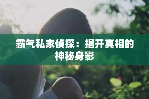 霸气私家侦探：揭开真相的神秘身影