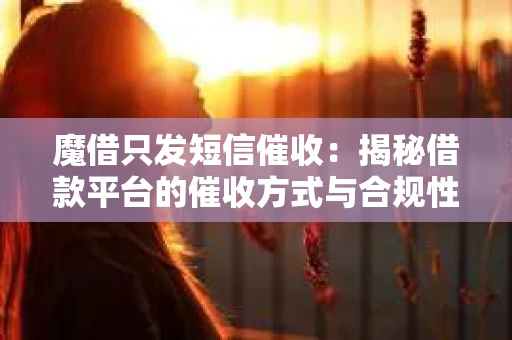 魔借只发短信催收：揭秘借款平台的催收方式与合规性