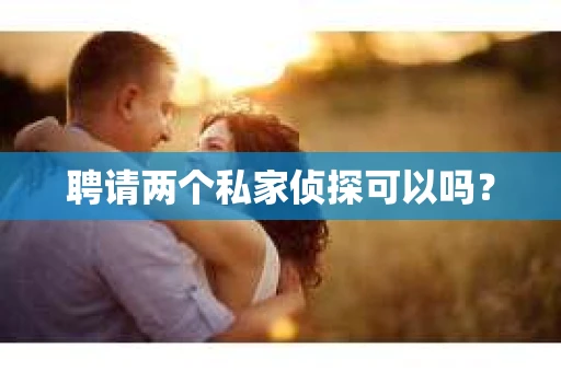 聘请两个私家侦探可以吗? 聘请两个私家侦探可以吗?