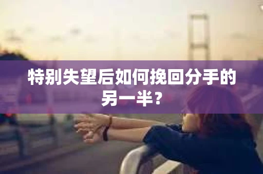特别失望后如何挽回分手的另一半？